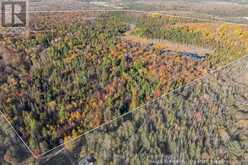 00 OLD TRACK ROAD | Emsdale Ontario | Slide Image Thirty-six