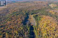 00 OLD TRACK ROAD | Emsdale Ontario | Slide Image Thirty-nine