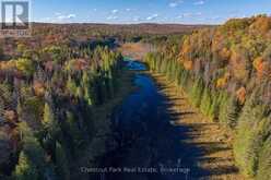 00 OLD TRACK ROAD | Emsdale Ontario | Slide Image Forty