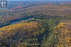 00 OLD TRACK ROAD | Emsdale Ontario | Slide Image Forty-three