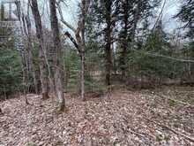 LOT 1 LOCH ERNE ROAD | McDougall Ontario | Slide Image Ten