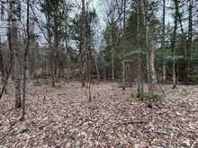 LOT 1 LOCH ERNE ROAD | McDougall Ontario | Slide Image Eleven