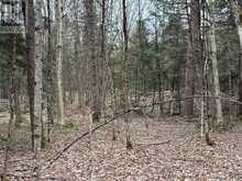 LOT 1 LOCH ERNE ROAD | McDougall Ontario | Slide Image One