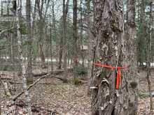 LOT 1 LOCH ERNE ROAD | McDougall Ontario | Slide Image Two