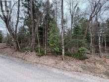 LOT 1 LOCH ERNE ROAD | McDougall Ontario | Slide Image Three