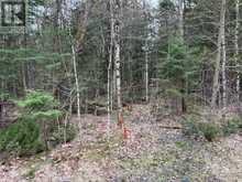 LOT 1 LOCH ERNE ROAD | McDougall Ontario | Slide Image Four