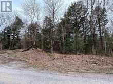 LOT 1 LOCH ERNE ROAD | McDougall Ontario | Slide Image Five