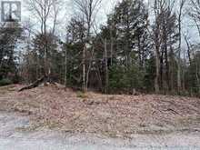 LOT 1 LOCH ERNE ROAD | McDougall Ontario | Slide Image Six