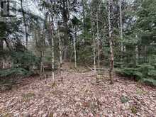 LOT 1 LOCH ERNE ROAD | McDougall Ontario | Slide Image Seven