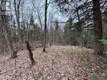 LOT 1 LOCH ERNE ROAD | McDougall Ontario | Slide Image Nine