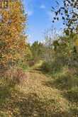 764059 240 SIDE ROAD | Melancthon Ontario | Slide Image Thirty-five