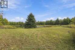 764059 240 SIDE ROAD | Melancthon Ontario | Slide Image Thirty-six
