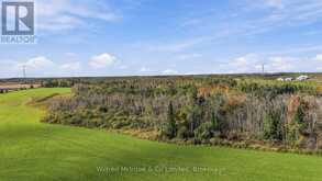 764059 240 SIDE ROAD | Melancthon Ontario | Slide Image Forty