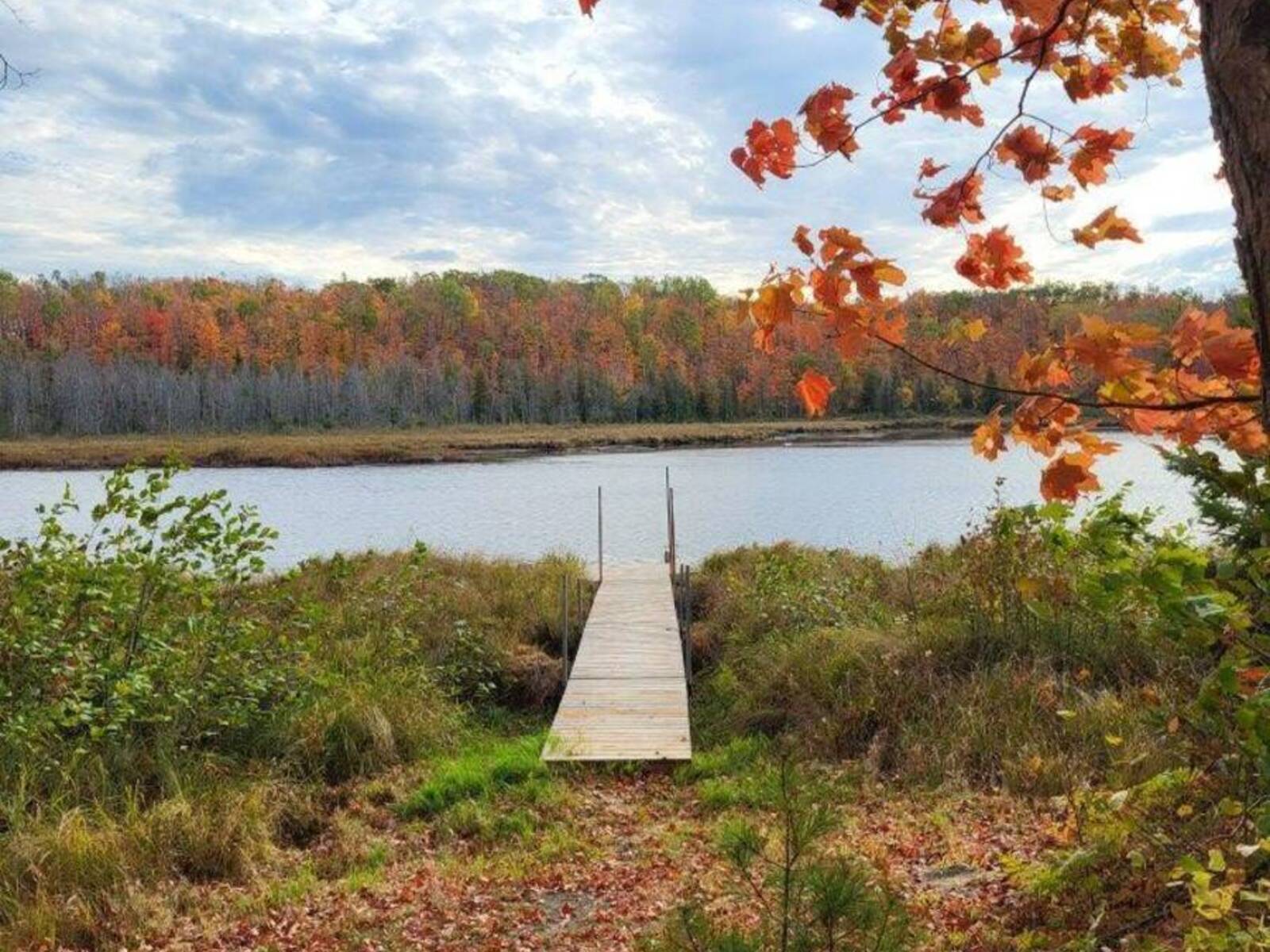 9842 HIGHWAY 35, Minden Hills, Ontario K0M 2L1