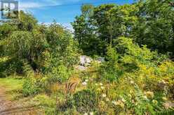 1115 HIGHWAY 124 | Whitestone Ontario | Slide Image Thirty-one