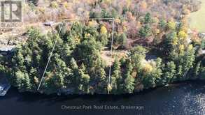 536 SPRINGFIELD ROAD | Huntsville Ontario | Slide Image Two
