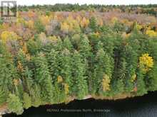 TBD RUGGED LANE | Minden Hills Ontario | Slide Image One