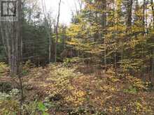 TBD RUGGED LANE | Minden Hills Ontario | Slide Image Five