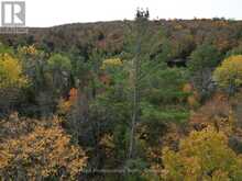 TBD RUGGED LANE | Minden Hills Ontario | Slide Image Seven