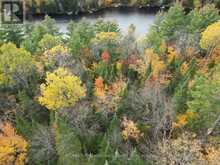 TBD RUGGED LANE | Minden Hills Ontario | Slide Image Nine