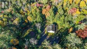 2726 OLD MUSKOKA ROAD | Huntsville Ontario | Slide Image Thirty-two