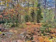 1041 HOLIDAY PARK DRIVE | Bracebridge Ontario | Slide Image Sixteen