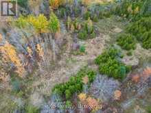281140 SHOULDICE BLOCK ROAD | Shallow Lake Ontario | Slide Image Ten