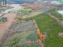 281140 SHOULDICE BLOCK ROAD | Shallow Lake Ontario | Slide Image Eleven