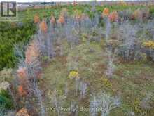 281140 SHOULDICE BLOCK ROAD | Shallow Lake Ontario | Slide Image Nine