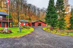 421 PEGGS MOUNTAIN ROAD | Magnetawan Ontario | Slide Image Forty