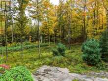 1266 NORTH SHORE ROAD | Utterson Ontario | Slide Image Two