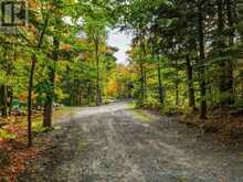 1266 NORTH SHORE ROAD | Utterson Ontario | Slide Image Four