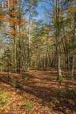 0 LAKESHORE ROAD | Magnetawan Ontario | Slide Image Twelve