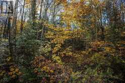 0 LAKESHORE ROAD | Magnetawan Ontario | Slide Image Eight
