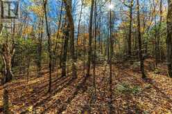 0 LAKESHORE ROAD | Magnetawan Ontario | Slide Image Nine