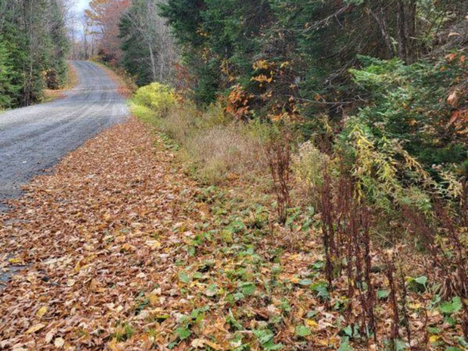 0 HAINES LAKE ROAD, McDougall, Ontario P2A 0B3