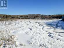 0 HAINES LAKE ROAD | McDougall Ontario | Slide Image Ten