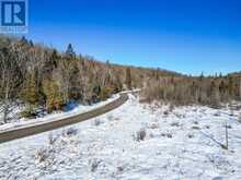 0 HAINES LAKE ROAD | McDougall Ontario | Slide Image Eight