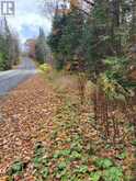 0 HAINES LAKE ROAD | McDougall Ontario | Slide Image One