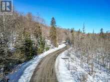 0 HAINES LAKE ROAD | McDougall Ontario | Slide Image Twelve