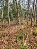 0 HAINES LAKE ROAD | McDougall Ontario | Slide Image Two