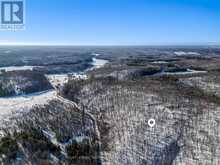 0 HAINES LAKE ROAD | McDougall Ontario | Slide Image Five