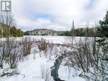 0 HAINES LAKE ROAD | McDougall Ontario | Slide Image Nine