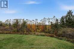 9417 91 COUNTY ROAD | Duntroon Ontario | Slide Image Forty-three