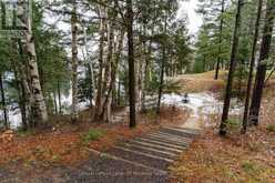 V 3, W 5 - 1020 BIRCH GLEN ROAD | Baysville Ontario | Slide Image Thirty-two
