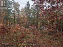 0 RIDGE ROAD | Muskoka Lakes Ontario | Slide Image Ten