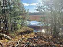 0 RIDGE ROAD | Muskoka Lakes Ontario | Slide Image Thirteen