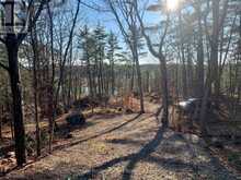 0 RIDGE ROAD | Muskoka Lakes Ontario | Slide Image Fourteen