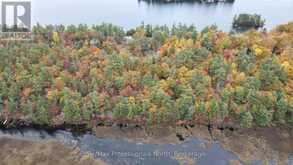 0 RIDGE ROAD | Muskoka Lakes Ontario | Slide Image Four