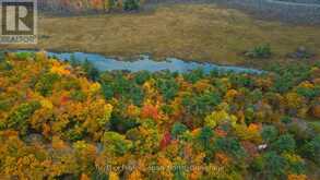 0 RIDGE ROAD | Muskoka Lakes Ontario | Slide Image Six